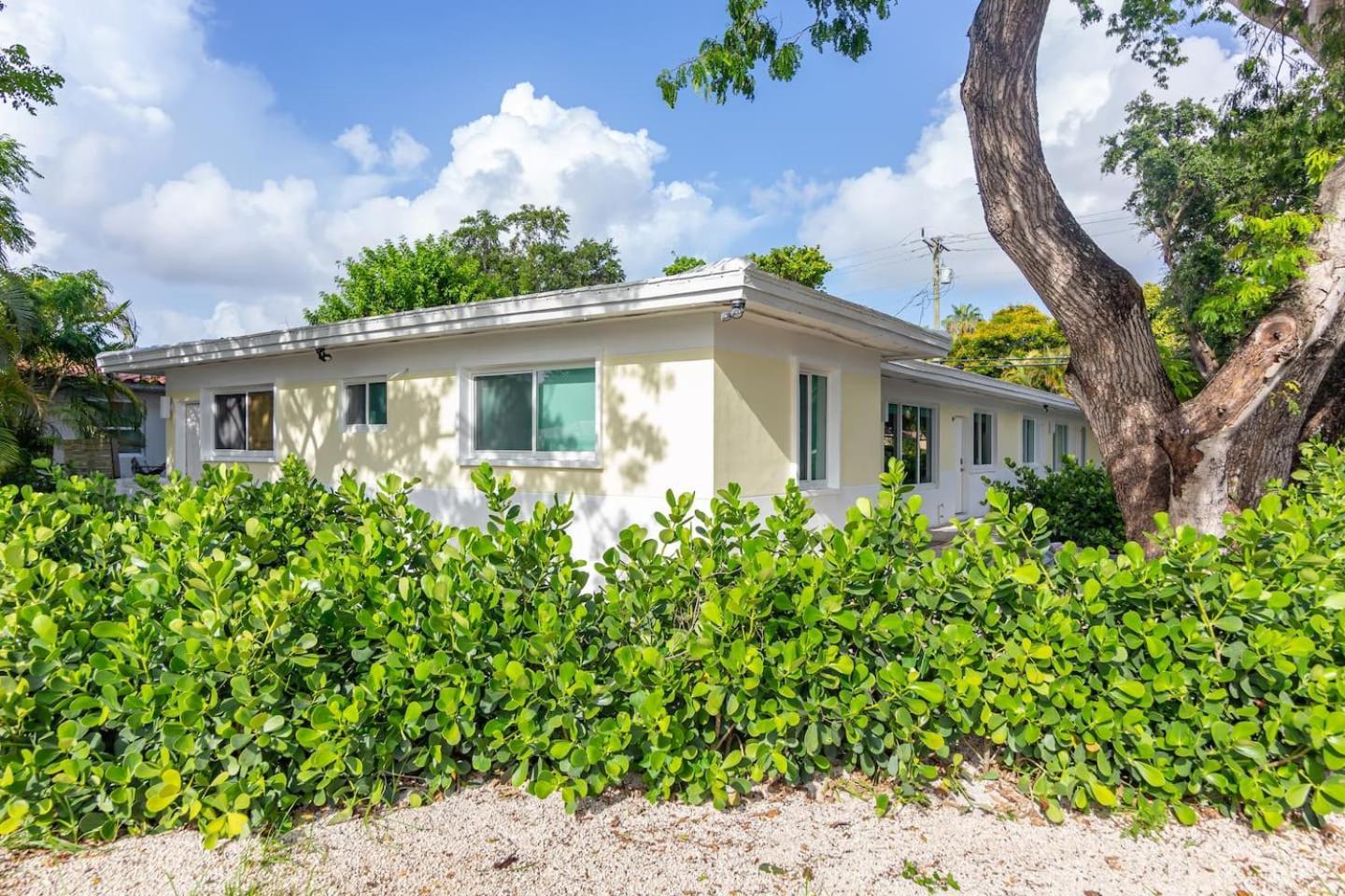 Large Stylish Studio Apartment In El Portal #3 Miami Eksteriør billede
